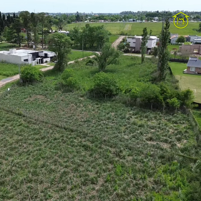 Sin título (700 × 700 px) (11)