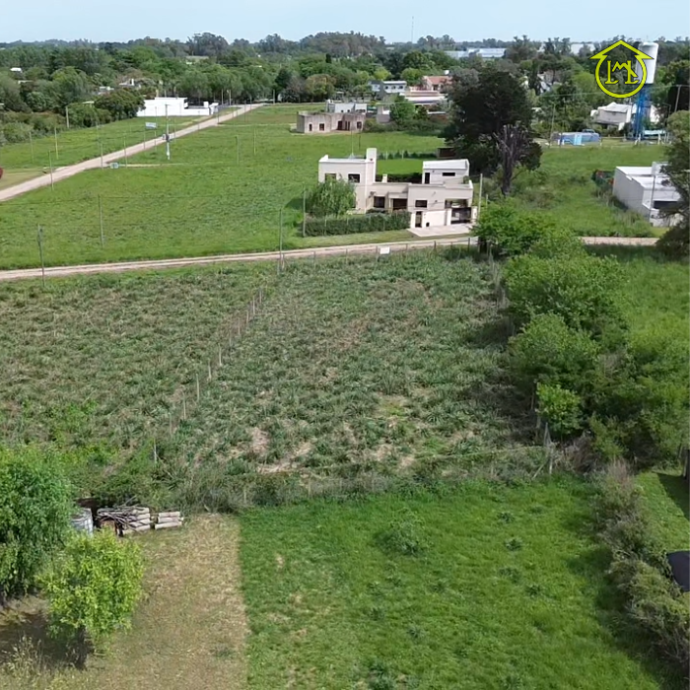 Sin título (700 × 700 px) (12)