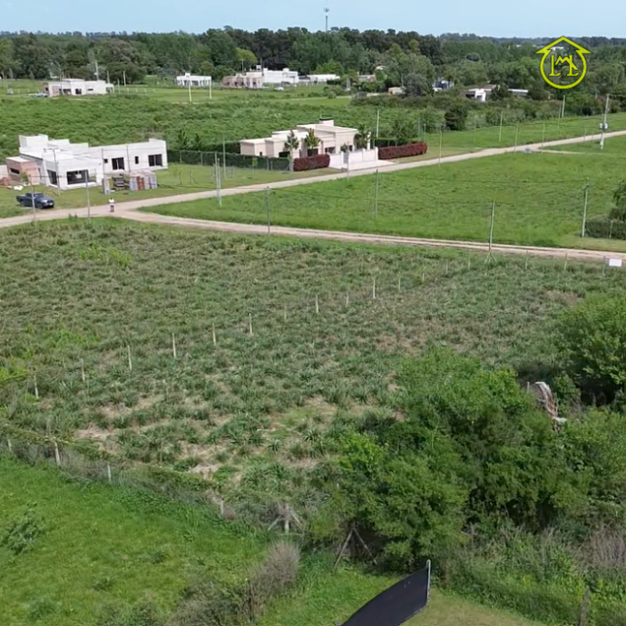 Sin título (700 × 700 px) (13)