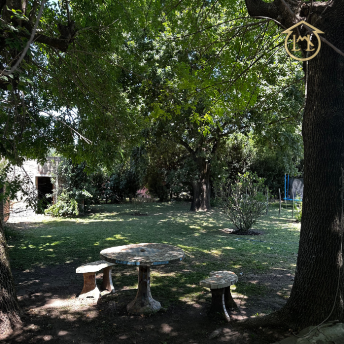 Sin título (700 × 700 px) (15)