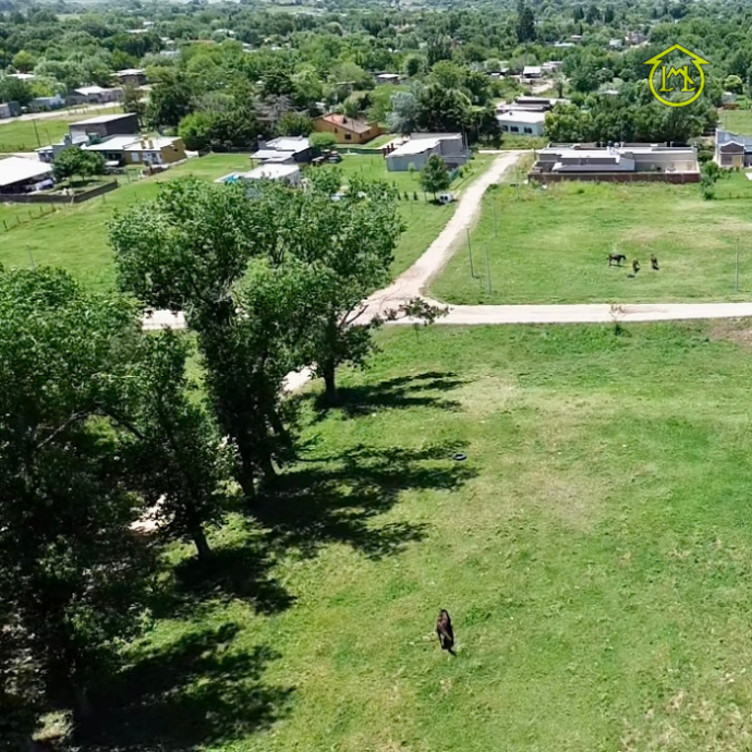 Sin título (700 × 700 px) (2)