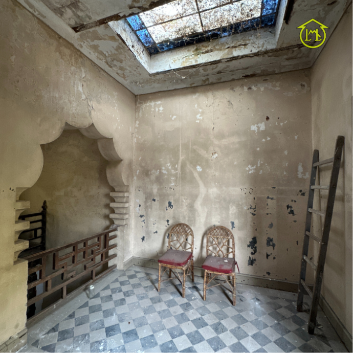 Sin título (700 × 700 px) - 2025-05-09T183512.317 (1)
