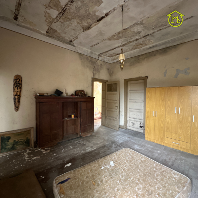 Sin título (700 × 700 px) - 2025-05-09T183612.355 (1)
