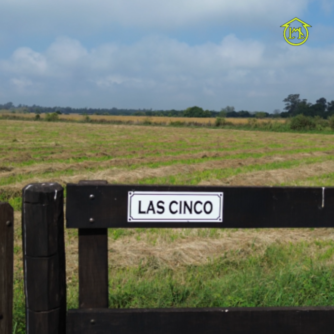 Sin título (700 × 700 px) - 2025-10-14T152349.323