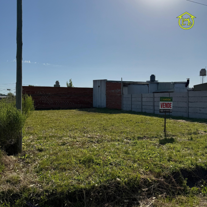 Sin título (700 × 700 px) - 2025-12-20T111544.007