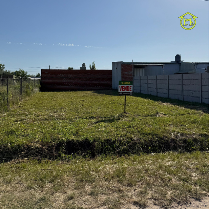 Sin título (700 × 700 px) - 2025-12-20T111605.750