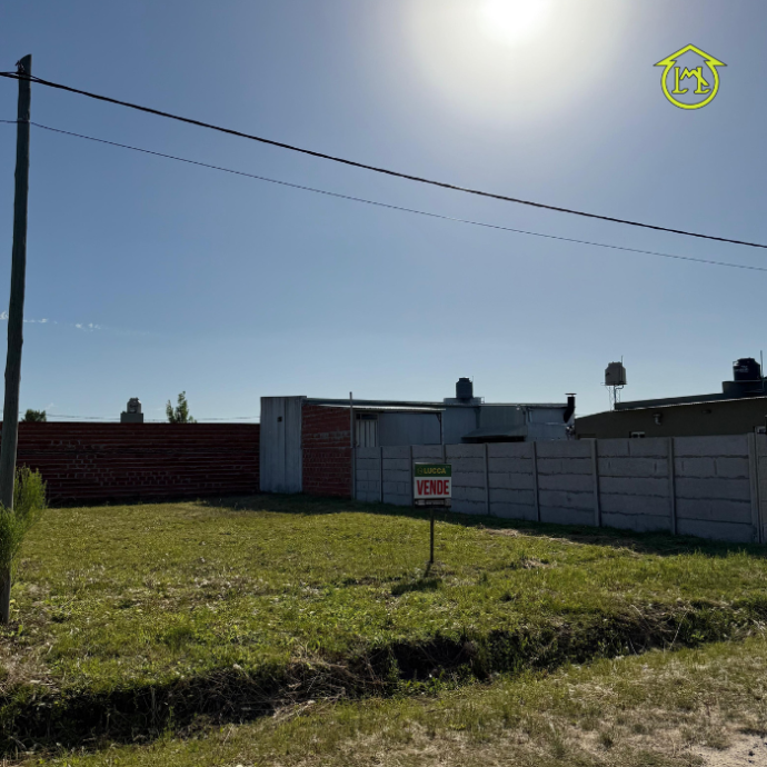 Sin título (700 × 700 px) - 2025-12-20T111620.622