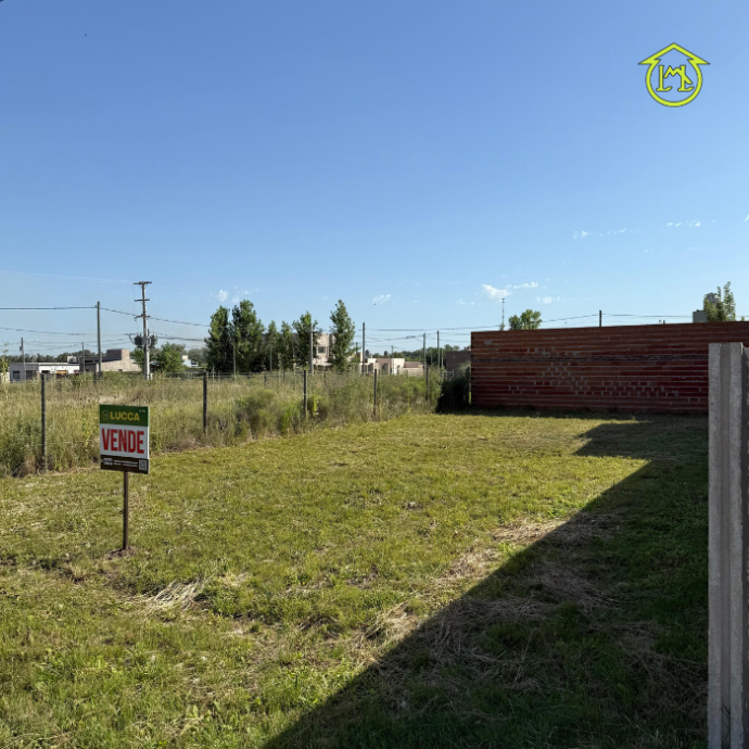 Sin título (700 × 700 px) - 2025-12-20T111638.889