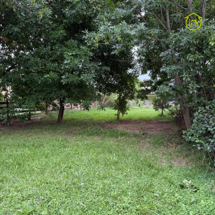 Sin título (700 × 700 px) - 2025-12-23T090522.436