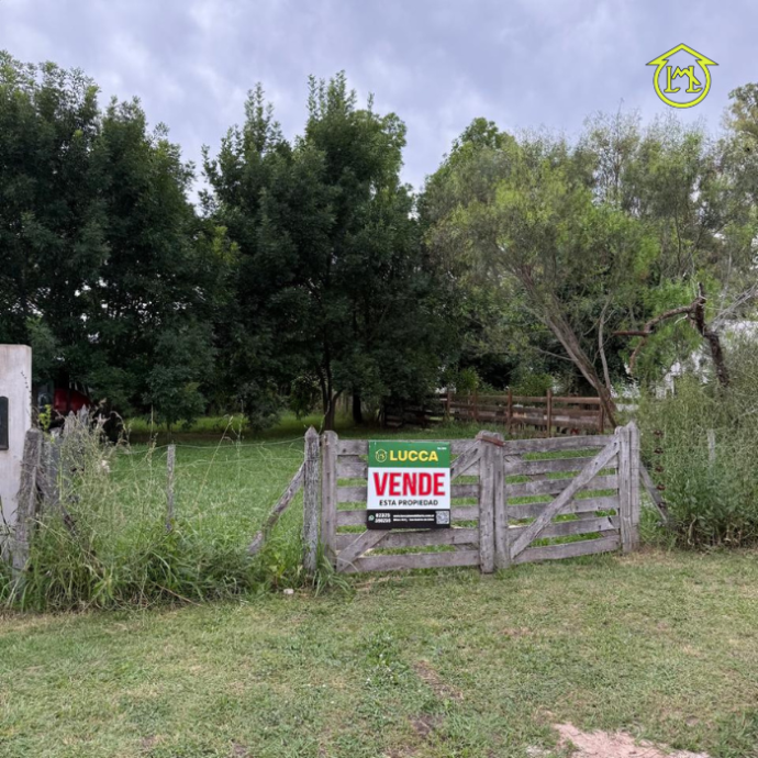 Sin título (700 × 700 px) - 2025-12-23T090914.250