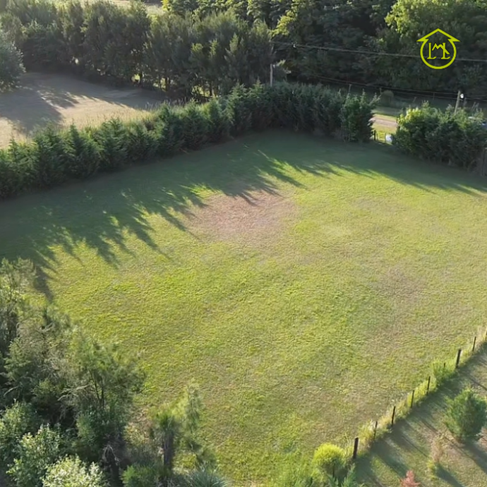 Sin título (700 × 700 px) - 2026-01-08T110154.889