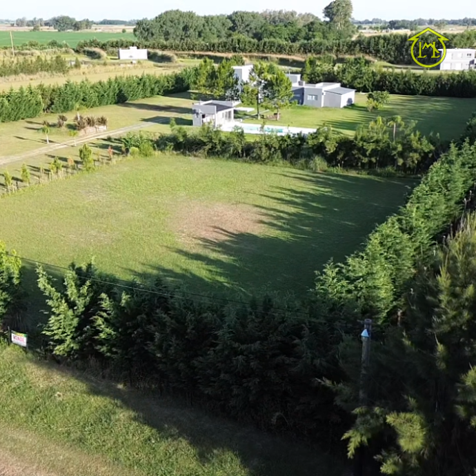 Sin título (700 × 700 px) - 2026-01-08T110248.569