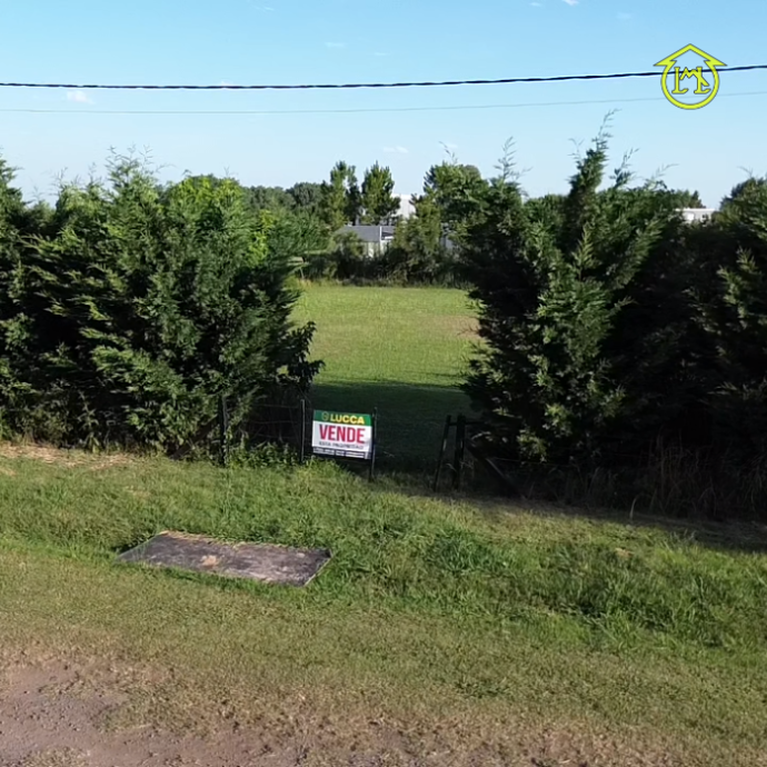 Sin título (700 × 700 px) - 2026-01-08T110304.749