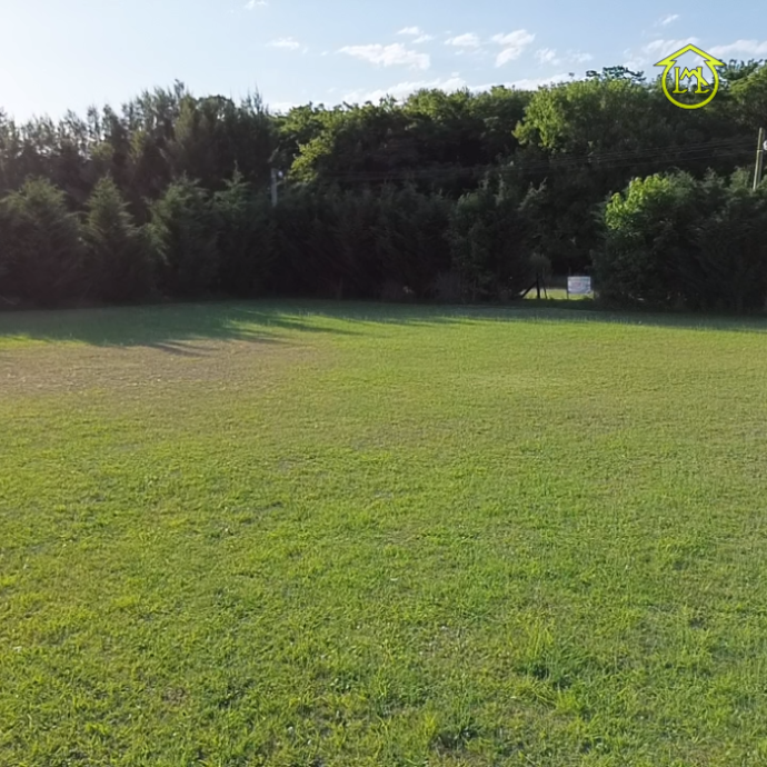 Sin título (700 × 700 px) - 2026-01-08T110329.139