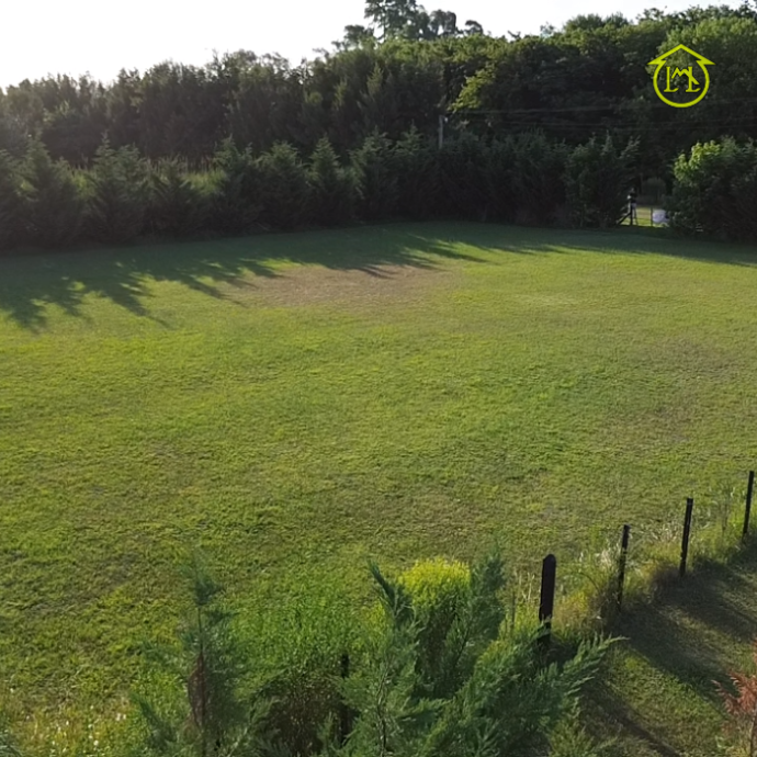 Sin título (700 × 700 px) - 2026-01-08T110504.881