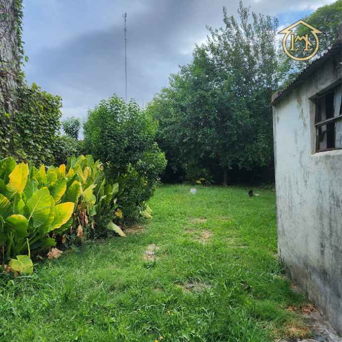 Sin título (700 × 700 px) - 2026-01-15T202510.678