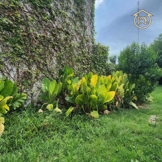 Sin título (700 × 700 px) - 2026-01-15T202531.557