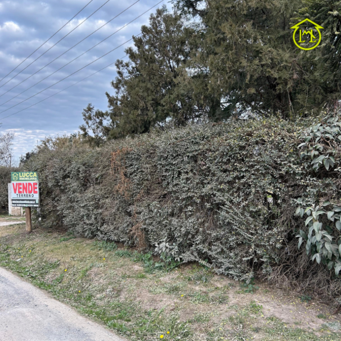 Sin título (700 × 700 px) - 2026-01-17T100544.361