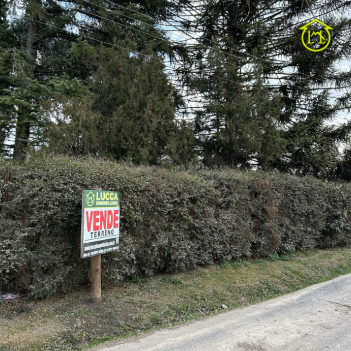 Sin título (700 × 700 px) - 2026-01-17T100559.713