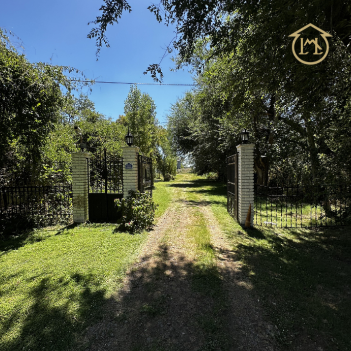 Sin título (700 × 700 px) - 2026-03-12T183932.760 (1)