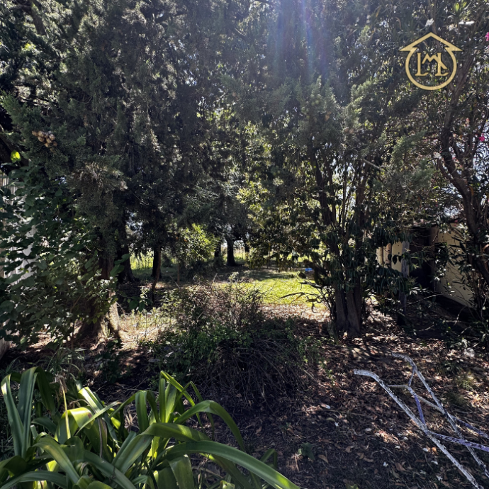 Sin título (700 × 700 px) - 2026-03-12T184020.761 (1)