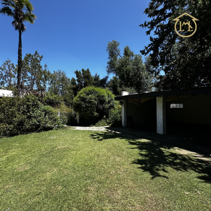 Sin título (700 × 700 px) - 2026-03-12T184049.921 (1)