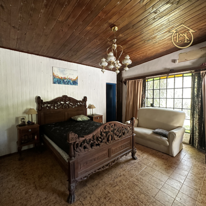 Sin título (700 × 700 px) - 2026-03-12T184406.515 (1)