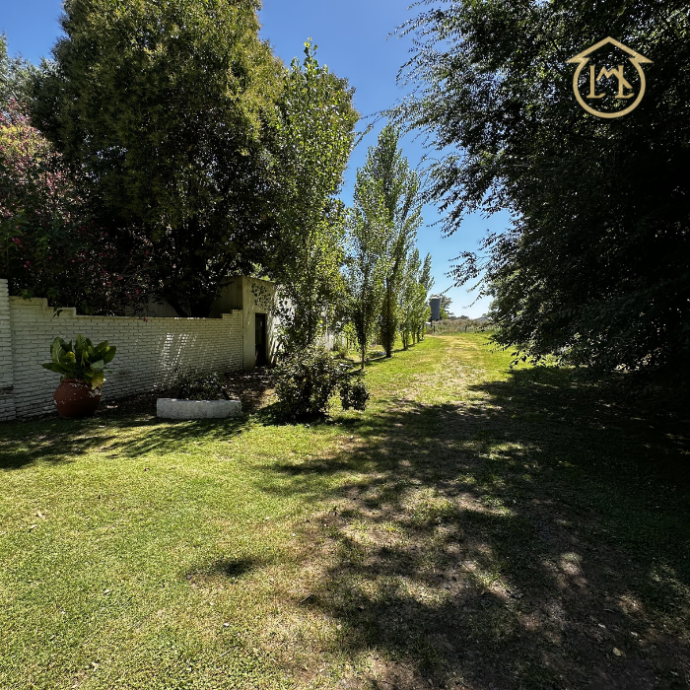 Sin título (700 × 700 px) - 2026-03-12T185232.738 (1)