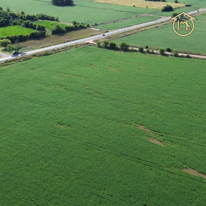 Sin título (700 × 700 px) - 2026-04-07T185854.483