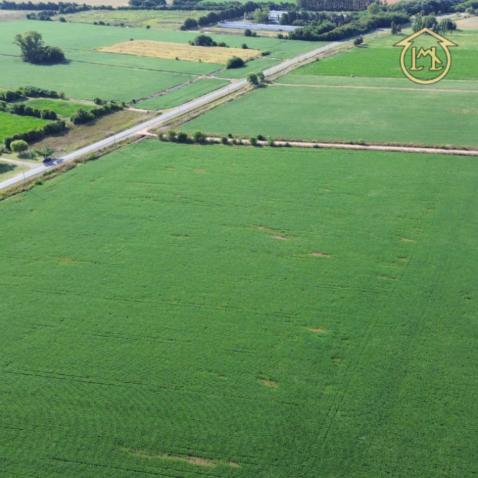 Sin título (700 × 700 px) - 2026-04-07T185922.305