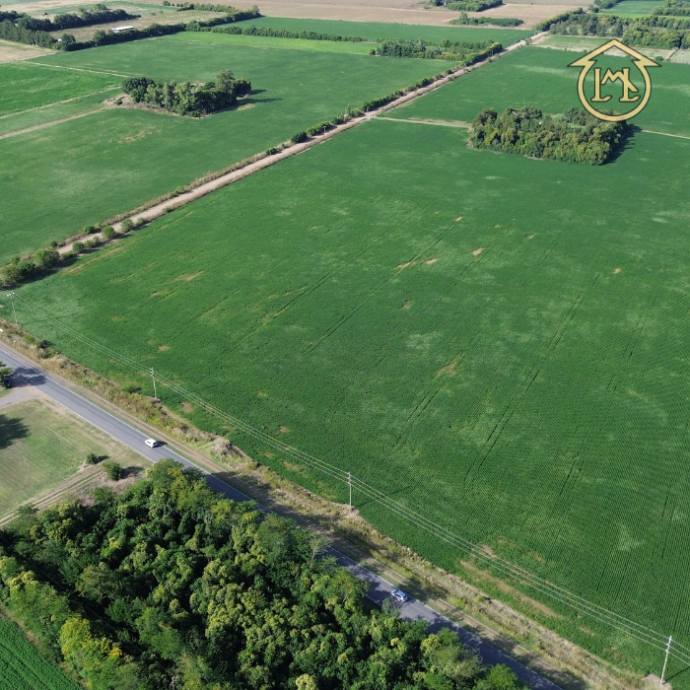 Sin título (700 × 700 px) - 2026-04-07T185956.836