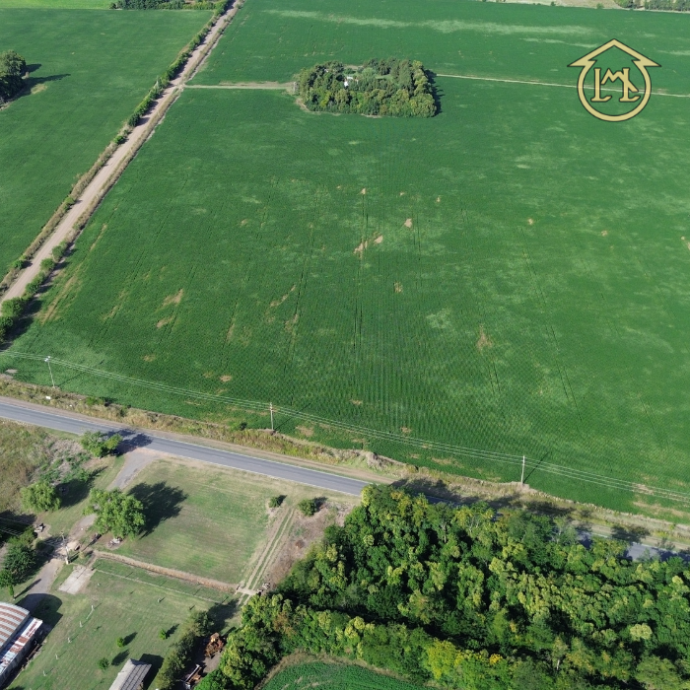 Sin título (700 × 700 px) - 2026-04-07T190013.882