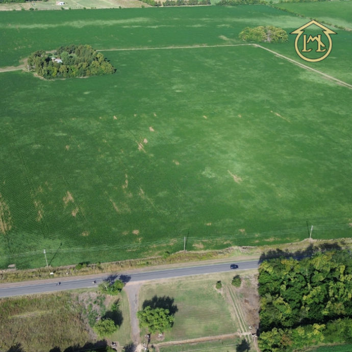 Sin título (700 × 700 px) - 2026-04-07T190029.075