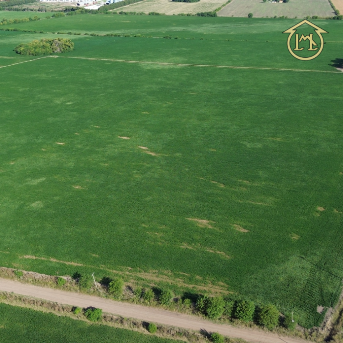 Sin título (700 × 700 px) - 2026-04-07T190044.521