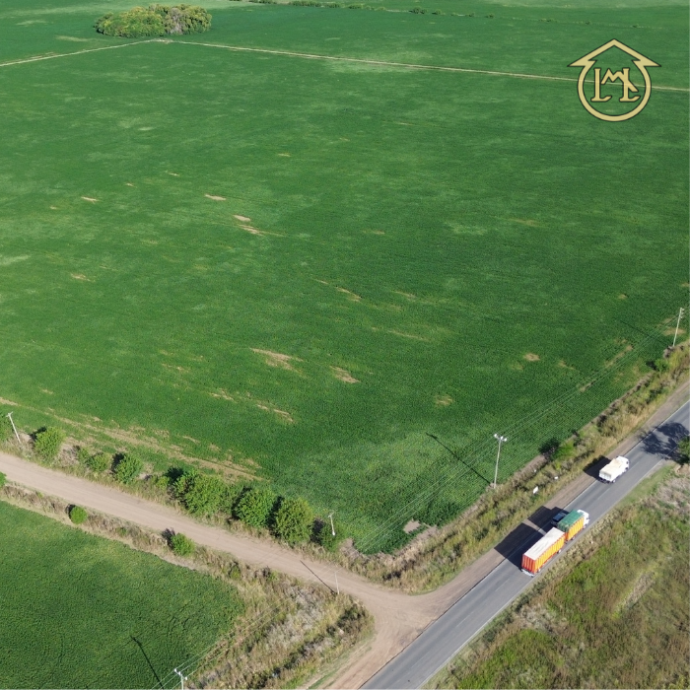 Sin título (700 × 700 px) - 2026-04-07T190058.451