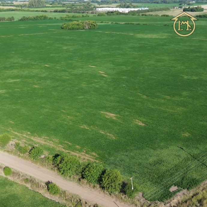 Sin título (700 × 700 px) - 2026-04-07T190117.518