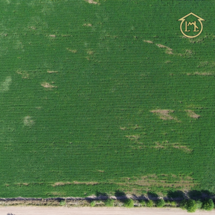 Sin título (700 × 700 px) - 2026-04-07T190129.247