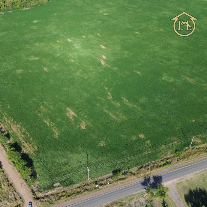 Sin título (700 × 700 px) - 2026-04-07T190141.095