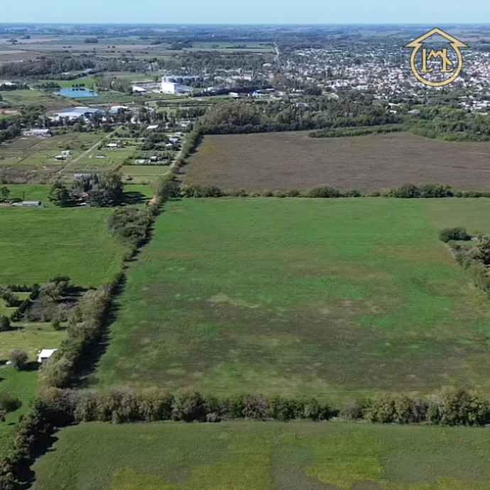 Sin título (700 × 700 px) - 2026-04-10T142556.579