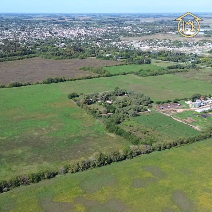 Sin título (700 × 700 px) - 2026-04-10T142610.714