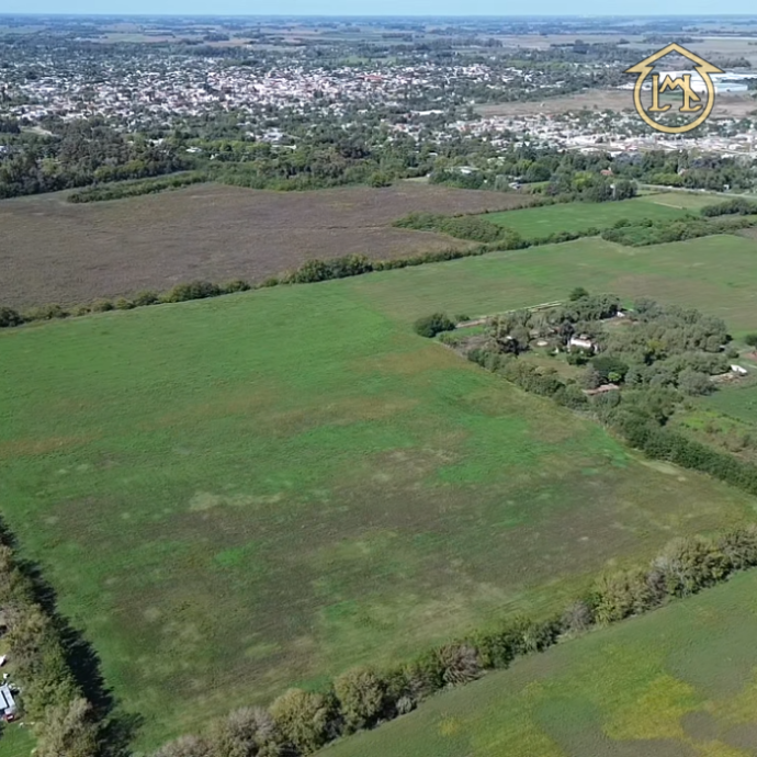 Sin título (700 × 700 px) - 2026-04-10T142637.458