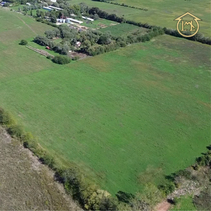 Sin título (700 × 700 px) - 2026-04-10T142751.477