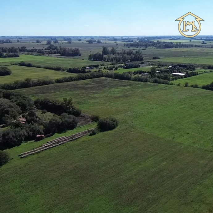 Sin título (700 × 700 px) - 2026-04-10T142824.819