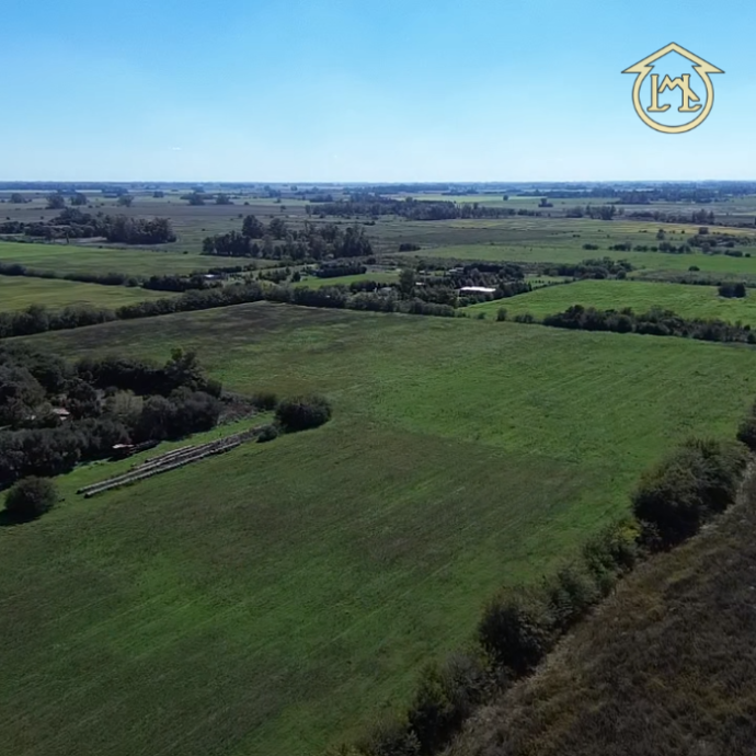 Sin título (700 × 700 px) - 2026-04-10T142838.051