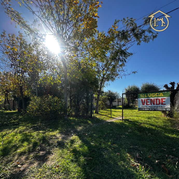 Sin título (700 × 700 px) - 2026-05-04T191032.568