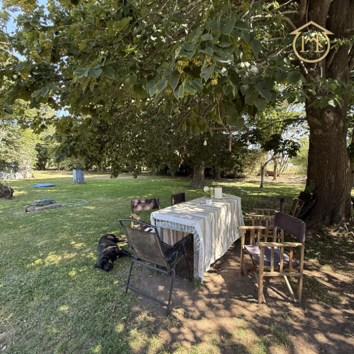 Sin título (700 × 700 px) (47)