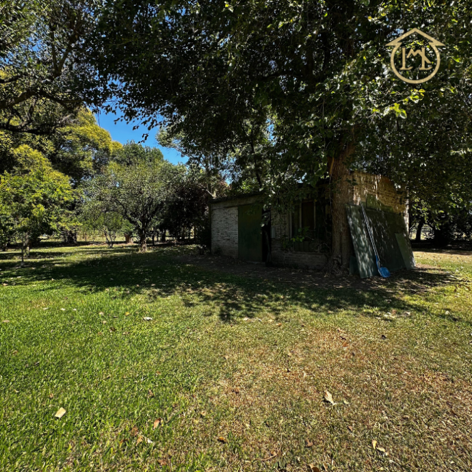 Sin título (700 × 700 px) (50)