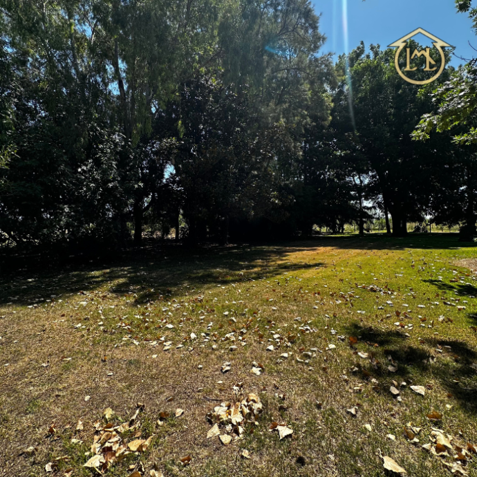 Sin título (700 × 700 px) (51)