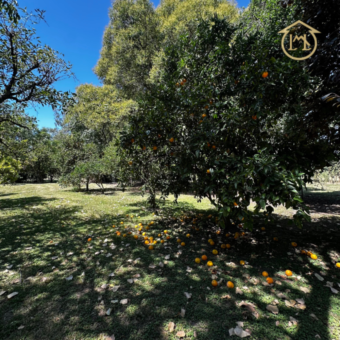 Sin título (700 × 700 px) (52)