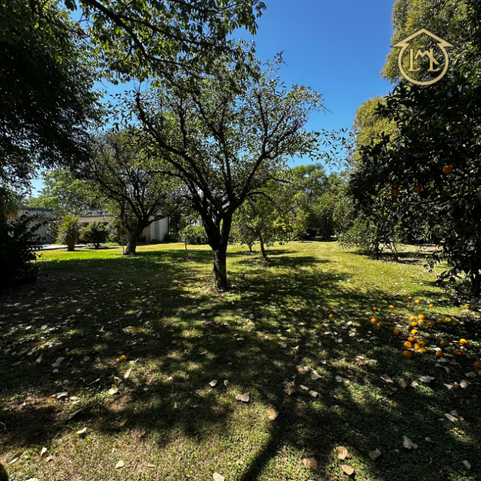 Sin título (700 × 700 px) (53)